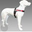 Tre Ponti Forza Rood reflective L 20-30 kg
