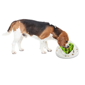 Interactives Food Maze (antischrokbak)