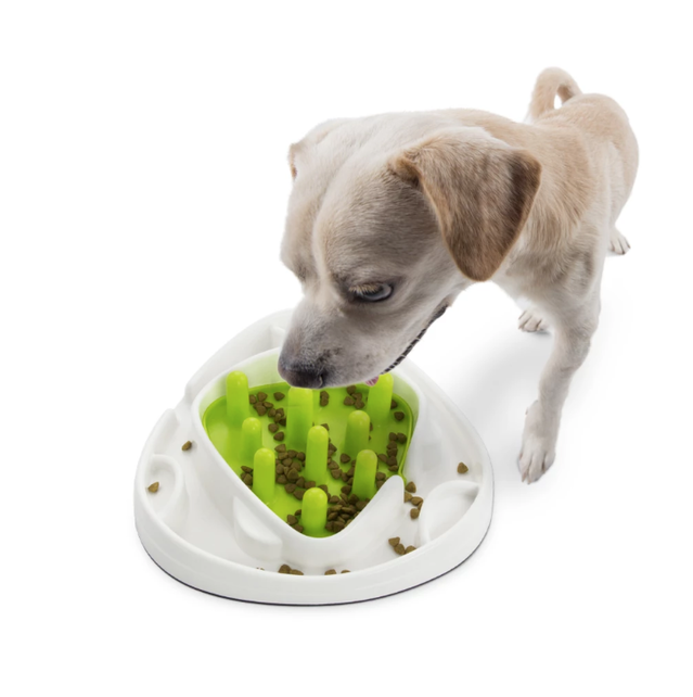 Interactives Food Maze (antischrokbak)