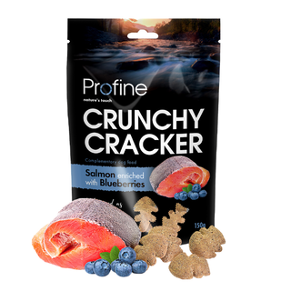 Crunchy Cracker Salmon & Blueberries 150 gram