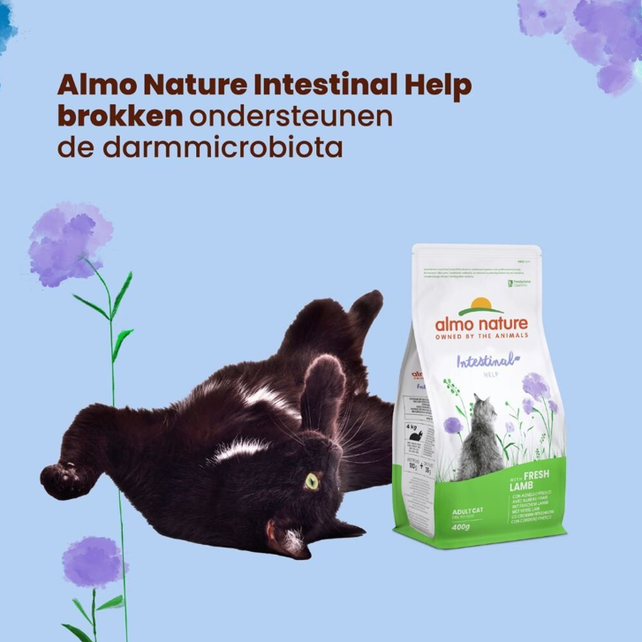 Holistic Droogvoer Digestive Help Lam 2kg