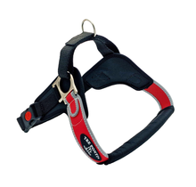 Forza Rood Reflective M 10-20 kg