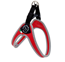 Fibbia Verstelbaar Rood Reflective 2-5kg