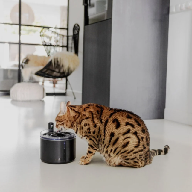 FLOW 2.2 L - Draadloze drinkfontein - Zwart