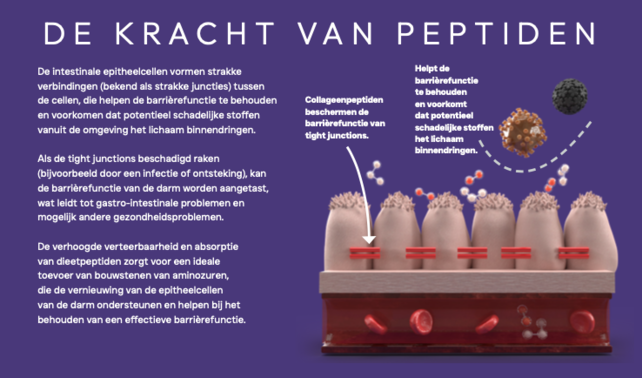 Veterinary Gastro-Intestinale Spijsvertering 1,5 kg