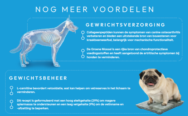 Veterinary Gewrichtscontrole 1,5 kg Veterinary Gewrichtscontrole 1,5 kg