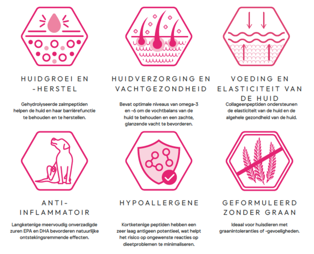 Veterinary Huid en Vacht 1,5 kg