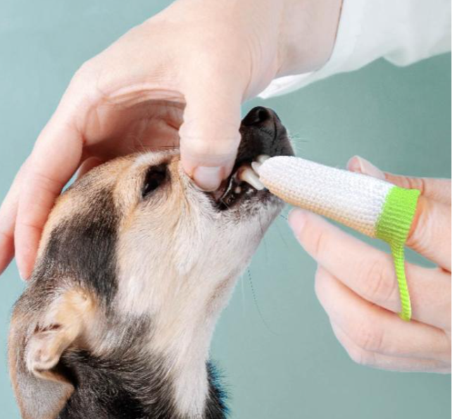 FLUFFY vingertandenborstel (2 stuks)