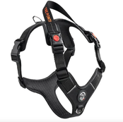 Harmonia Y-Tuig Antraciet/Zwart/Rood M