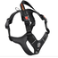 Tre Ponti Alpha Y-Tuig Antraciet/Zwart/Rood M