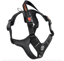 Harmonia Y-Tuig Antraciet/Zwart/Rood XL