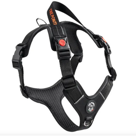 Harmonia Y-Tuig Antraciet/Zwart/Rood XXL