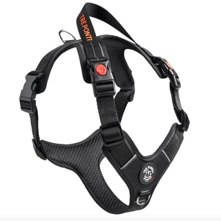 Harmonia Y-Tuig Antraciet/Zwart/Rood XXL