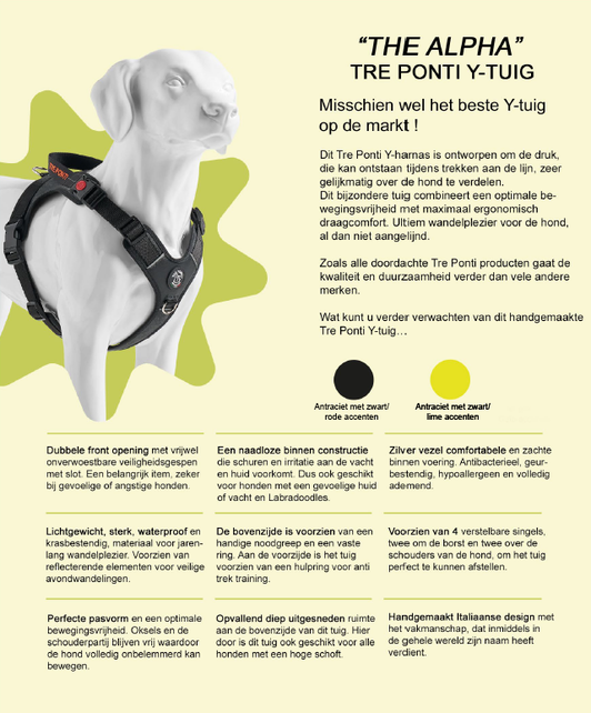 Harmonia Y-Tuig Antraciet/Zwart/Lime M