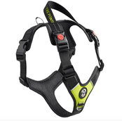 Harmonia Y-Tuig Antraciet/Zwart/Lime M