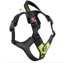 Harmonia Y-Tuig Antraciet/Zwart/Lime L