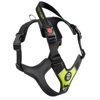 Harmonia Y-Tuig Antraciet/Zwart/Lime L