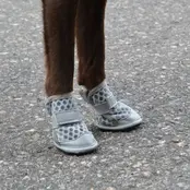 Hondenschoenen Maat 3