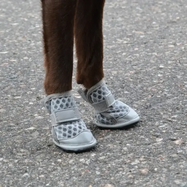 Hondenschoenen Maat 4
