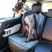 Travel Cargo Swivel Tether