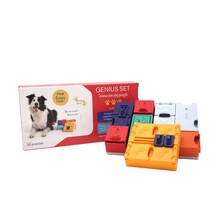 Genius Set (level 3)