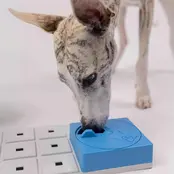 Oli  (level 1) Oli  (level 1)