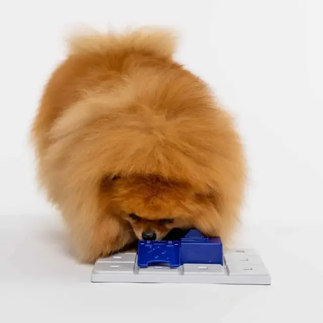 Sela  (level 3) Sela  (level 3)