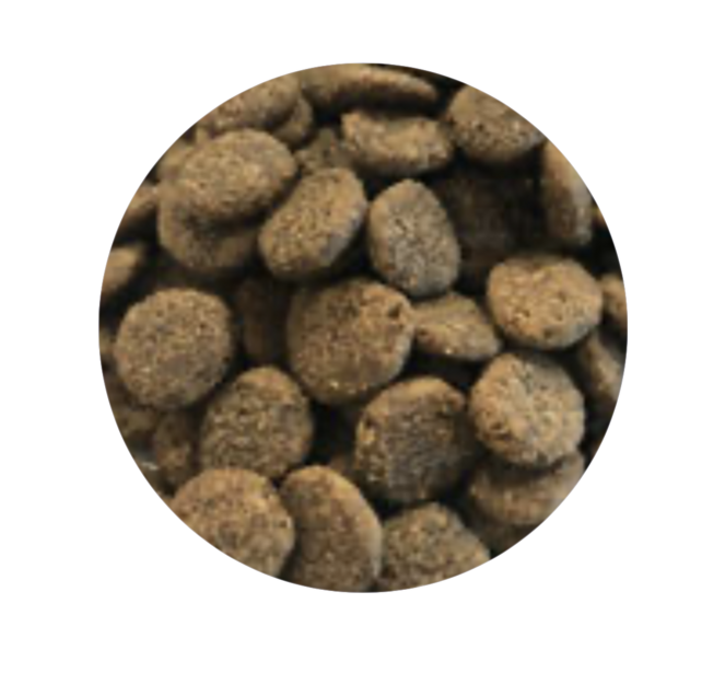 Graanvrij Volwassen Hond Angus Rundvlees 2 kg