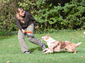 Dog Frisbee blauw 23cm