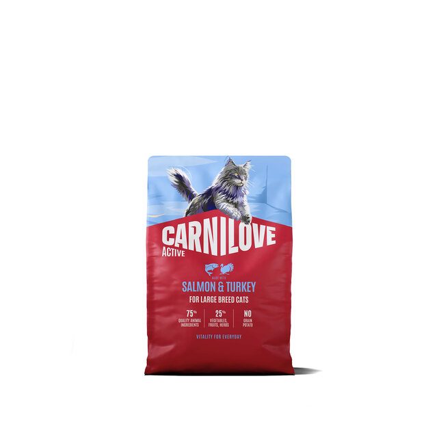 ACTIVE Cat Salmon & Turkey Adult 2kg