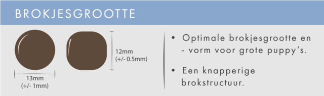 Graanvrij Puppy Groot Zalm 12 kg