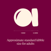 ACTIVE DOG Dog Duck & Pheasant for Adult 12 kg