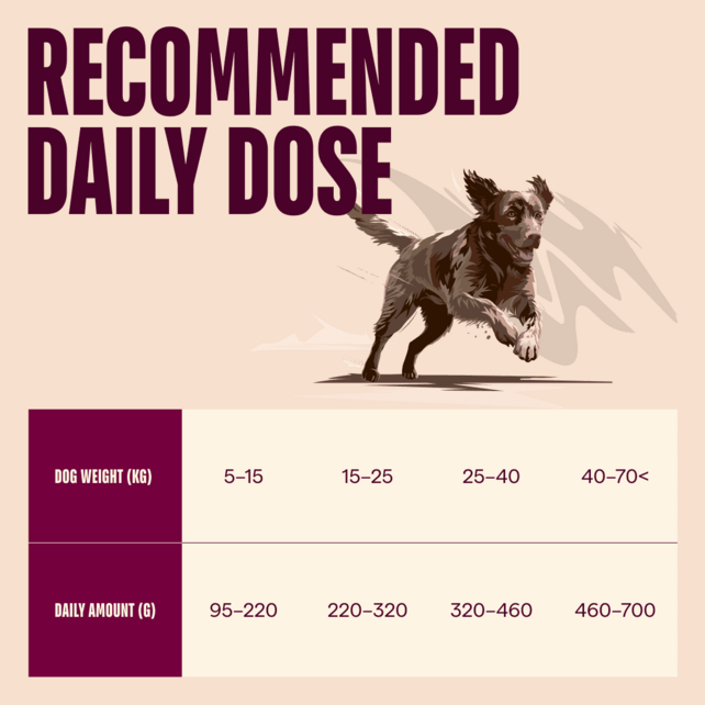 ACTIVE DOG Lamb & Wild Boar for Adult 1,5 kg