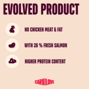 ACTIVE DOG Salmon & Turkey for Adult 12 kg