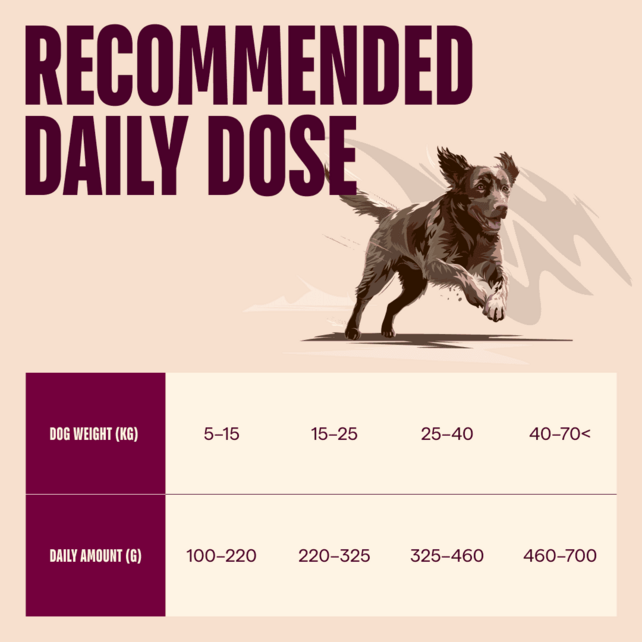 ACTIVE DOG Salmon & Turkey for Adult 12 kg