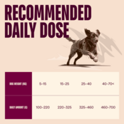 ACTIVE DOG Salmon & Turkey for Adult 1,5 kg