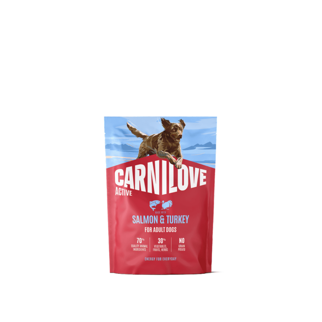 ACTIVE DOG Salmon & Turkey for Adult 1,5 kg