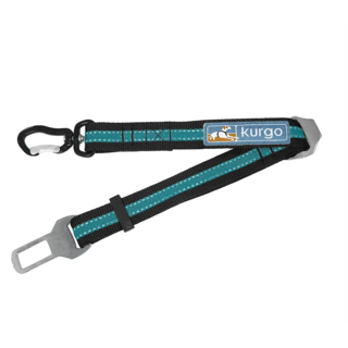 Direct to Seatbelt Swivel Tether - Blauw