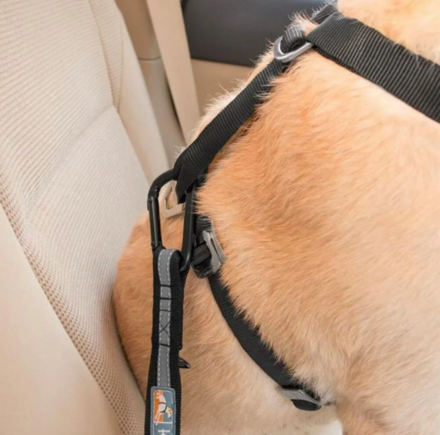 Dog Seatbelt Loop