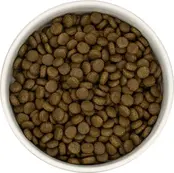 Connoisseur Cat Volwassen Eend met Sardientjes 5kg