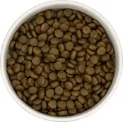 Connoisseur Cat Volwassen Kip-Tonijn-Zalm 5kg