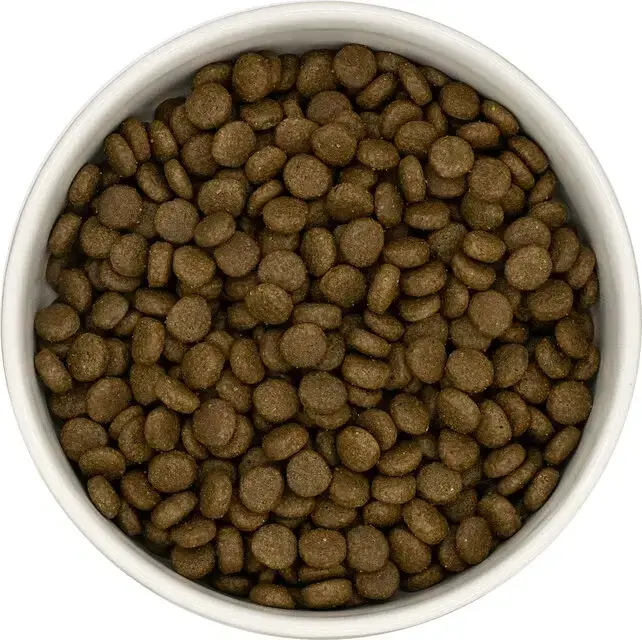 Connoisseur Cat Volwassen Kip-Tonijn-Zalm 5kg