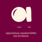 ACTIVE Salmon & Turkey Kitten 400 gram