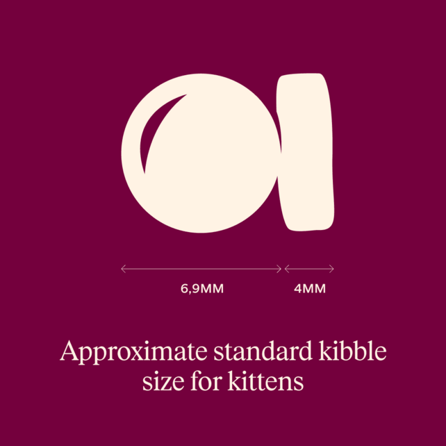 ACTIVE Salmon & Turkey Kitten 400 gram