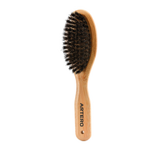 Borstel met zwijnenhaar