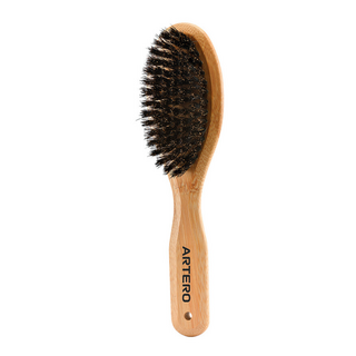 Borstel met zwijnenhaar