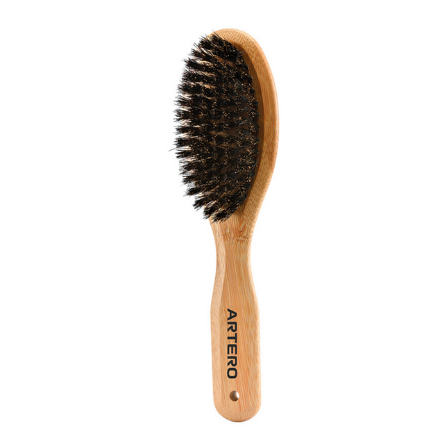 Borstel met zwijnenhaar