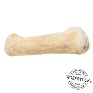 Woefstock Small