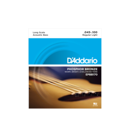 D'addario EPBB170 Akoestisch basgitaar snaren 045-100