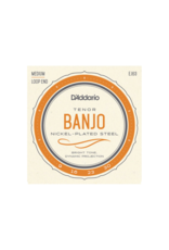 D'addario EJ63 Light banjo snaren 009-030